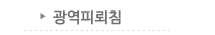 광역피뢰침